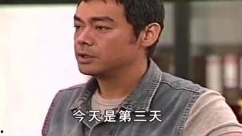 大时代在线观看国语片,重温经典，感受时代变迁的磅礴史诗  第2张